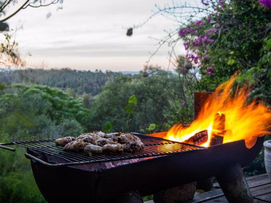 The Braai Ritual: Mastering Meat, Fire, and Fellowship in Cape Town